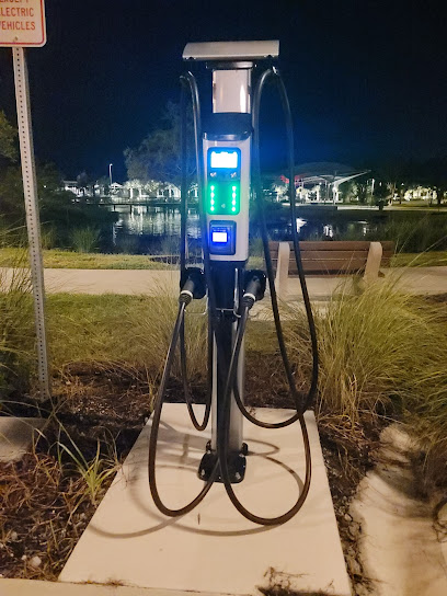 Blink Charging Station
