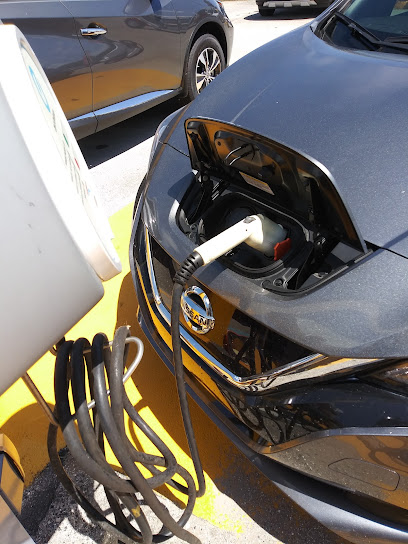 Electric Vehicle Charging Station