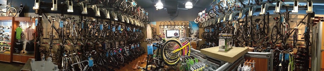 The Bike Route