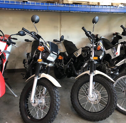 Powersports vehicle dealer