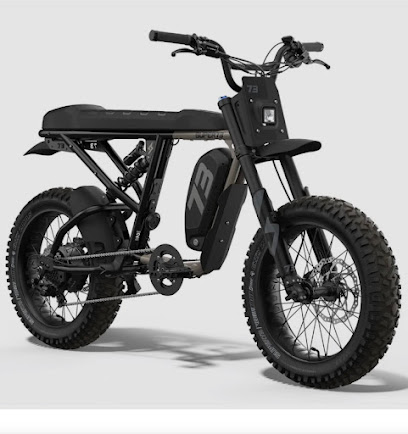 TRADITION E-BIKES