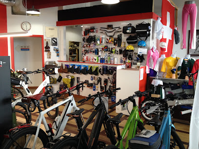 Pedelec SQB Electric Bicycles