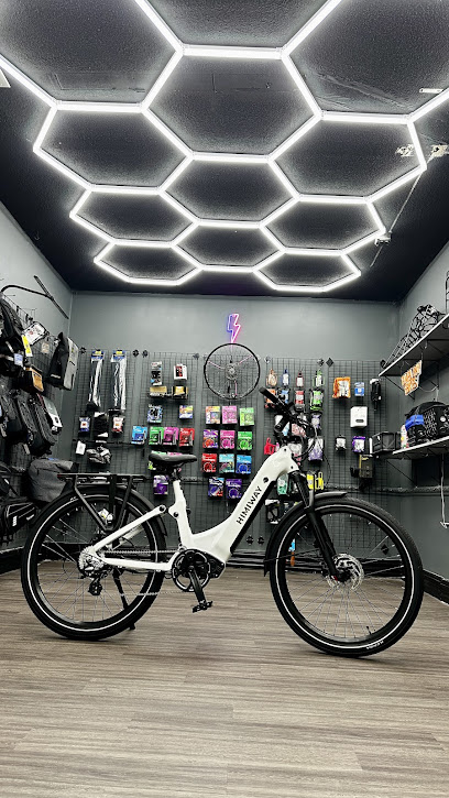 Tampa Bay eBikes