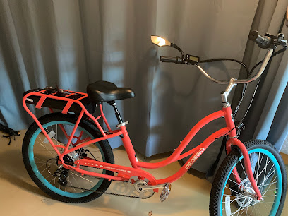 Pedego Electric Bikes Dunedin