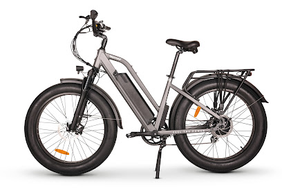 Electric Spinz Electric Bike Rentals and Sales